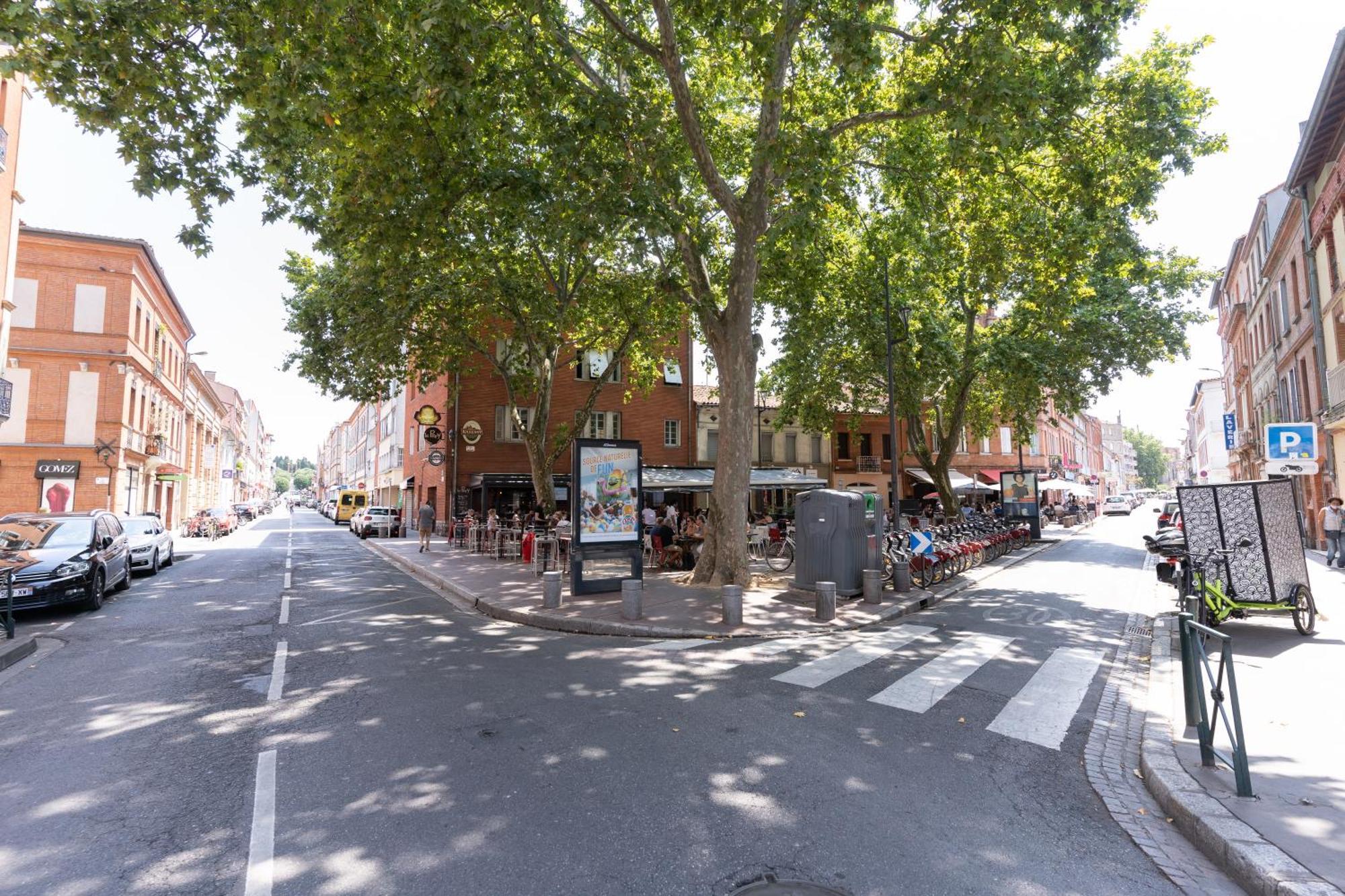 Le Patio Riquet Apartment Toulouse Exterior photo
